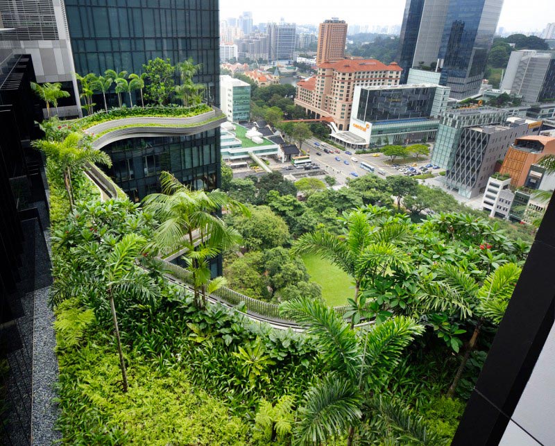 exterior view of the green vegetation at the Parkroyal Singapore