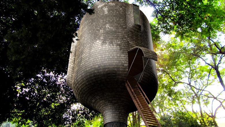 Ladder leading up to the Embryo Treehouse by Antony Gibbon Designs