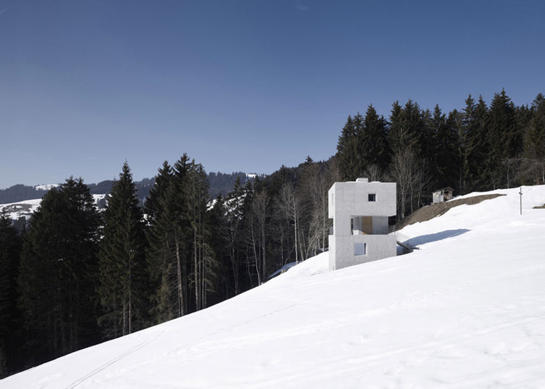 Exterior Architecture of the Mountain Cabin by Marte.Marte in Voralberg Austria