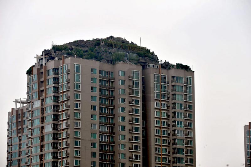 Mountaintop, trees and shrubs on the rooftop of a Beijing High-rise