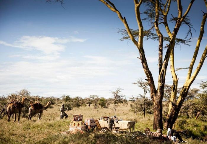 Safari tour at the Segera Retreat in Kenya