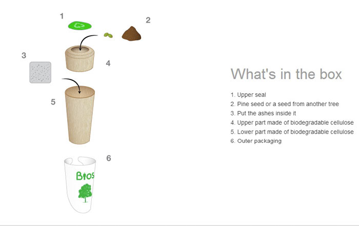What comes in the box of the Bios Urn A Biodegradable and eco-friendly Urn