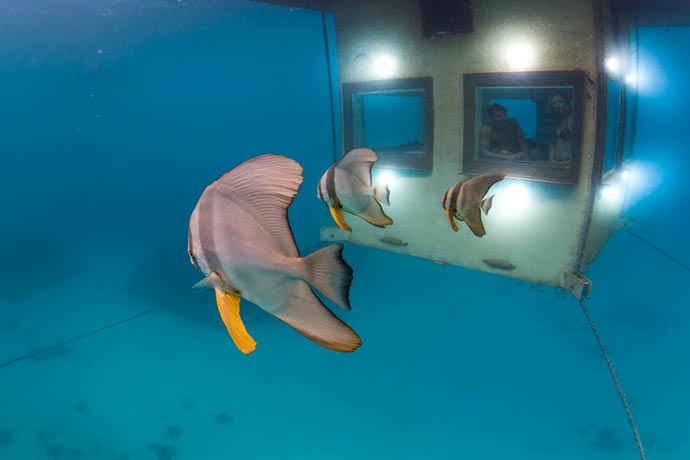 Manta Resort Underwater Room in Zanzibar 2
