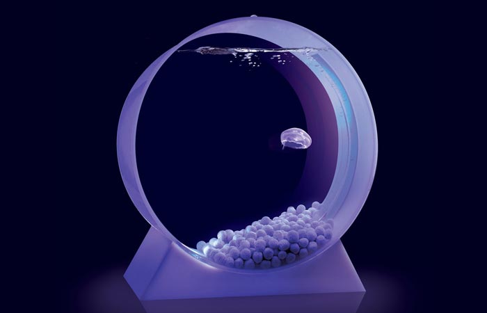 Desktop Jellyfish tank