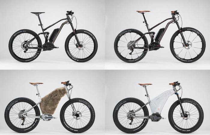 M.A.S.S Electric bicycle
