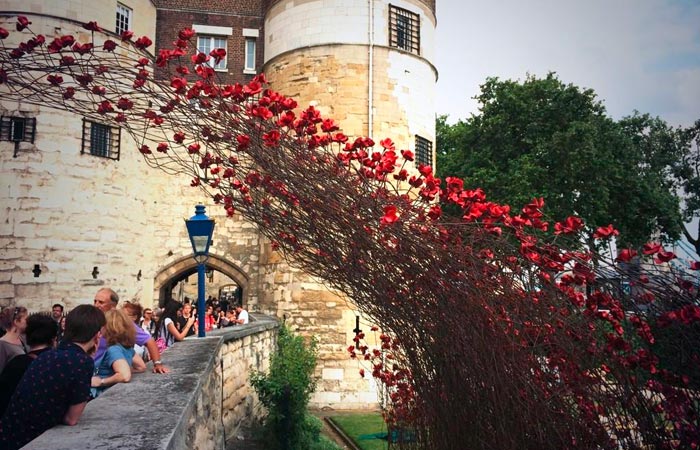 Art installation for Remembrance Day at the Tower of London