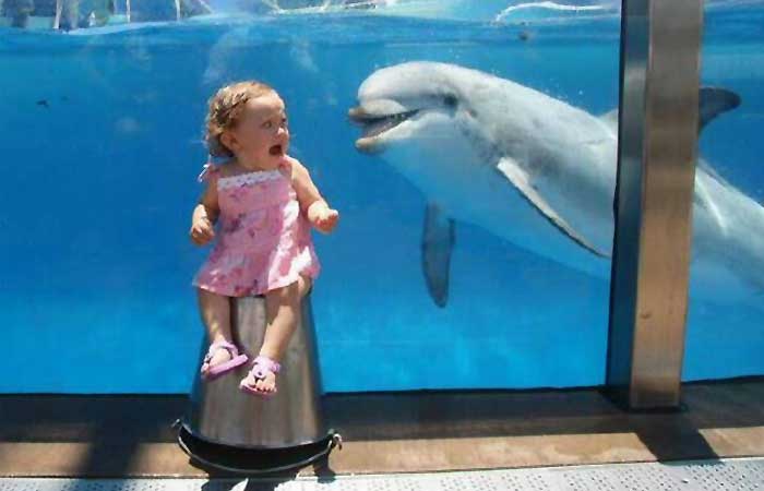 Girl scared of a dolphin