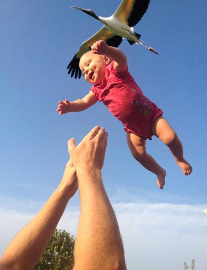 Baby falling into father's hands and a stork flying above