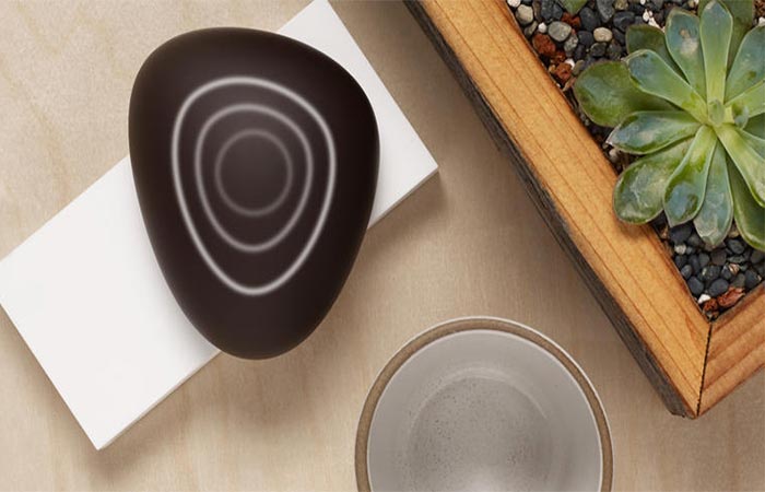 Dojo Smart Home Network Security System Places On a Wooden Surface Next To A Plant