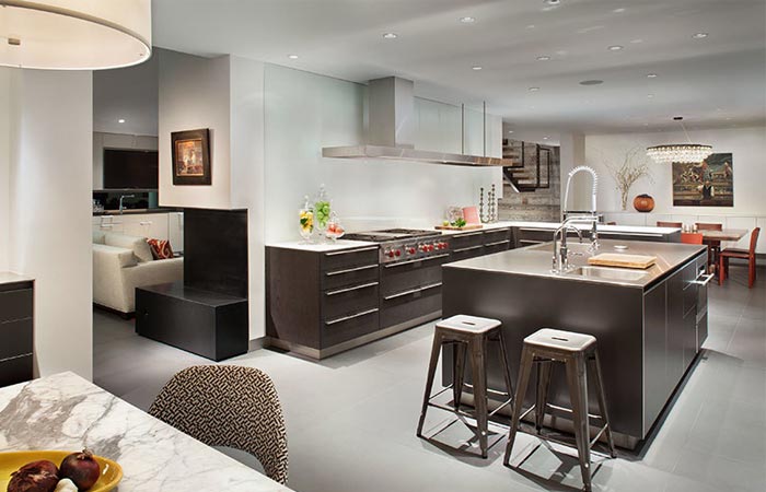 Black Birch Modern interior, kitchen