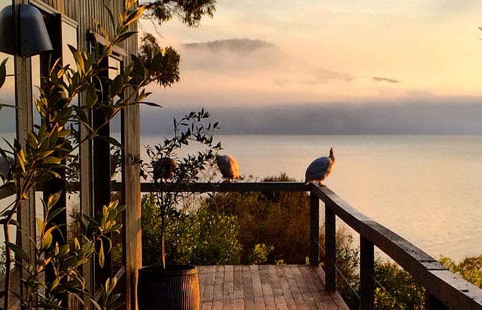 Satellite Island summer house porch with a bird on the fense and the sea in the background at sunset.