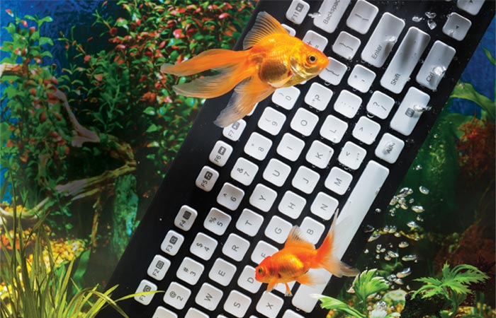 Logitech Washable Keyboard In A Fish Tank