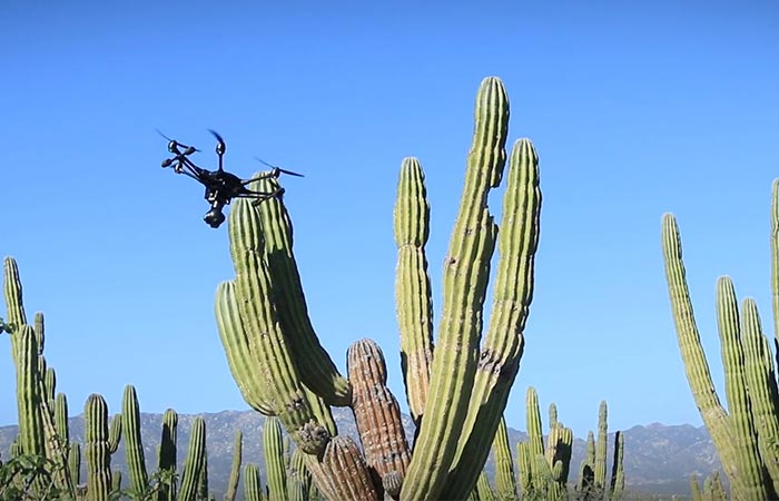 Typhoon H drone moving around a cactus