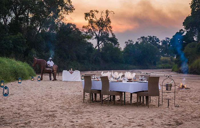 The Safari Collection Outdoor Dinner