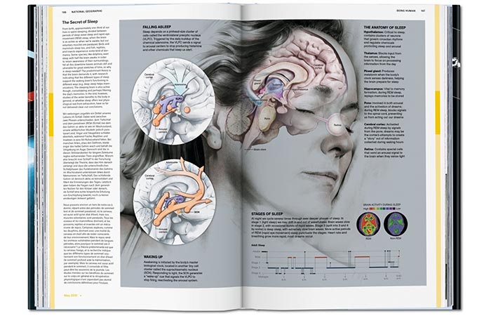 National Geographic Infographics page about sleep