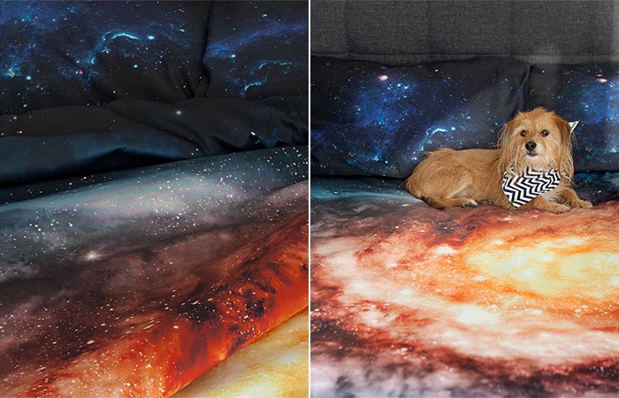 Galaxy Bedding with dog