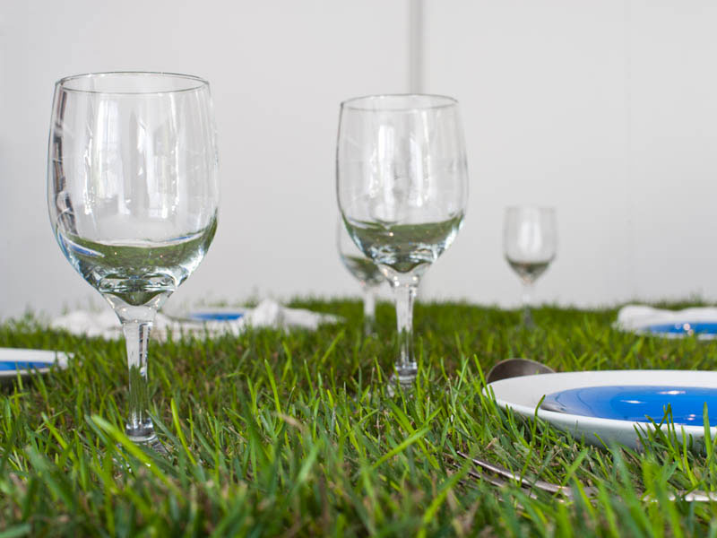 wine glasses on a Grass Top PicNYC Table