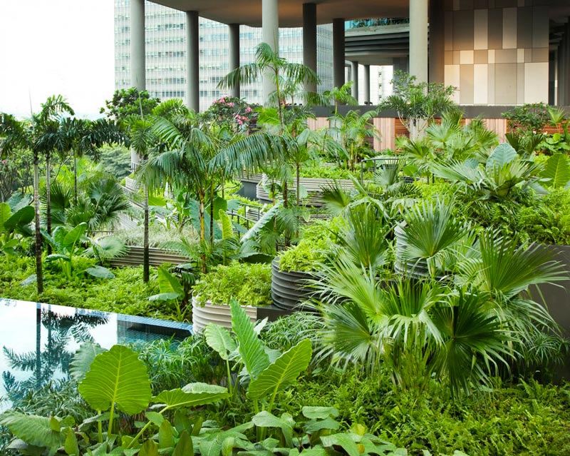exterior view of the plants at the Parkroyal Singapore