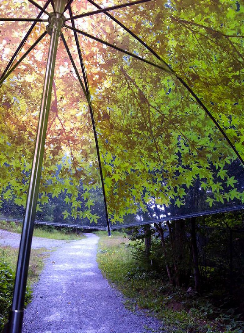 Komorebiagasa Tree Shade Umbrella by Design Complicity being used on a rainy day