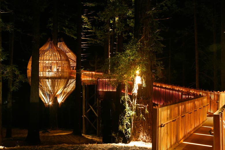 Path leading to The Yellow Treehouse Restaurant in Auckland,New Zealand by Pacific Environments Architects