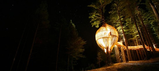 YELLOW TREEHOUSE RESTAURANT IN NEW ZEALAND | PACIFIC ENVIRONMENTS ARCHITECTS