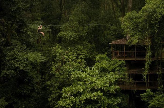 Treehouse in dense forest at the Finca Bellavista Treehouse Community in Costa Rica
