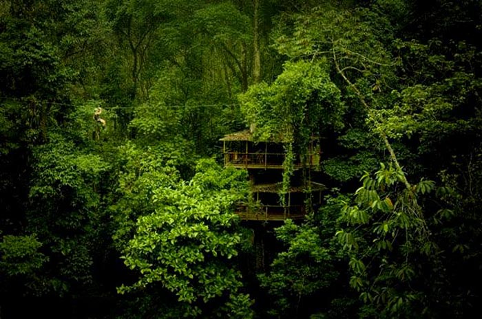 Treehouse in the jungle canopy at the Finca Bellavista Treehouse Community in Costa Rica