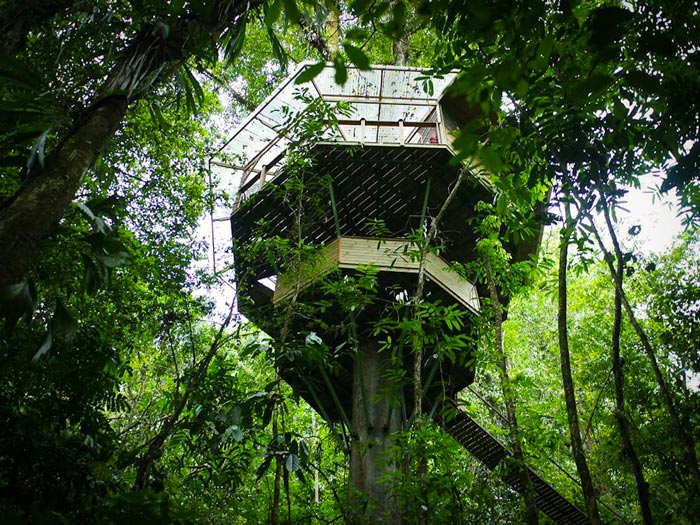 Exterior view of a treehouse at the Finca Bellavista Treehouse Community in Costa Rica