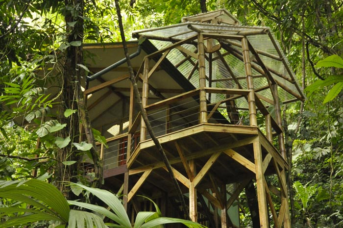 Treehouse architecture at the Finca Bellavista Treehouse Community in Costa Rica