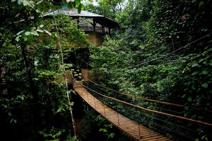 Wooden rope bridge at the Finca Bellavista Treehouse Community in Costa Rica