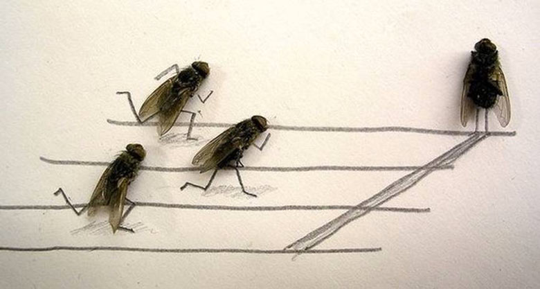 Flychelangelo Dead Flies Art on JEBIGA