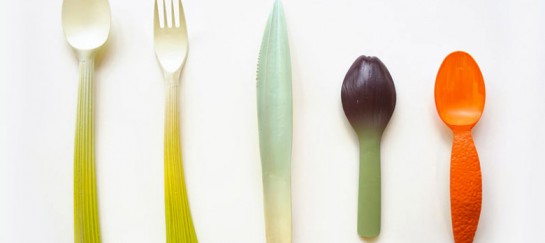 ‘GRAFT’ Biodegradable Vegetable Resembling Utensils and Tableware