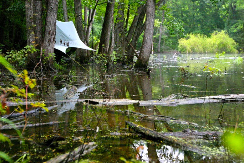 Nube Hammock Shelter by Sierra Madre being used in a swamp area