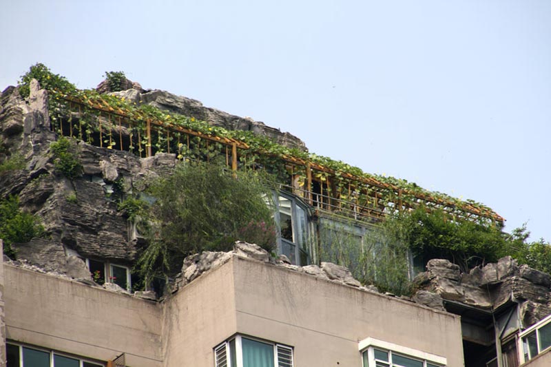 Trees and shrubs on the rooftop of a Beijing High-rise
