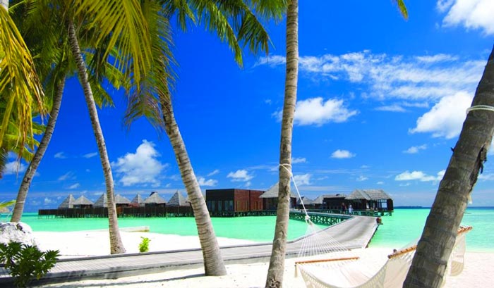 Conrad Maldives Rangali Island Hotel view of the beach, palm trees and white wooden boats