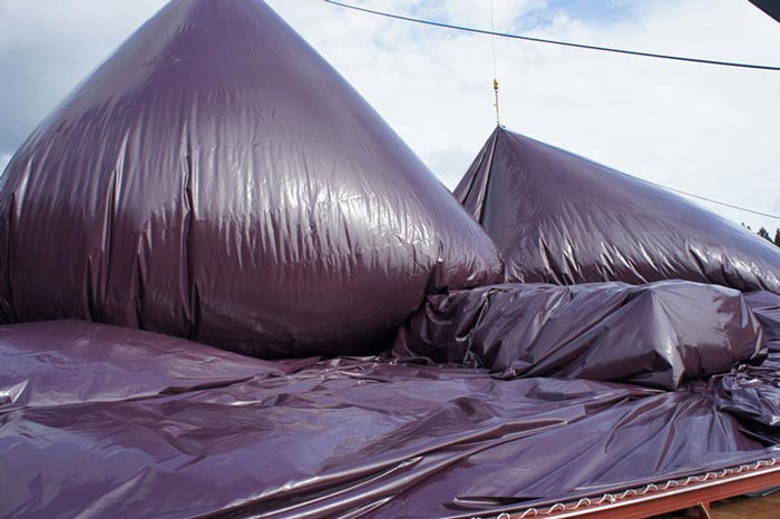 Ark Nova - An Inflatable Concert Hall in Japan being inflated