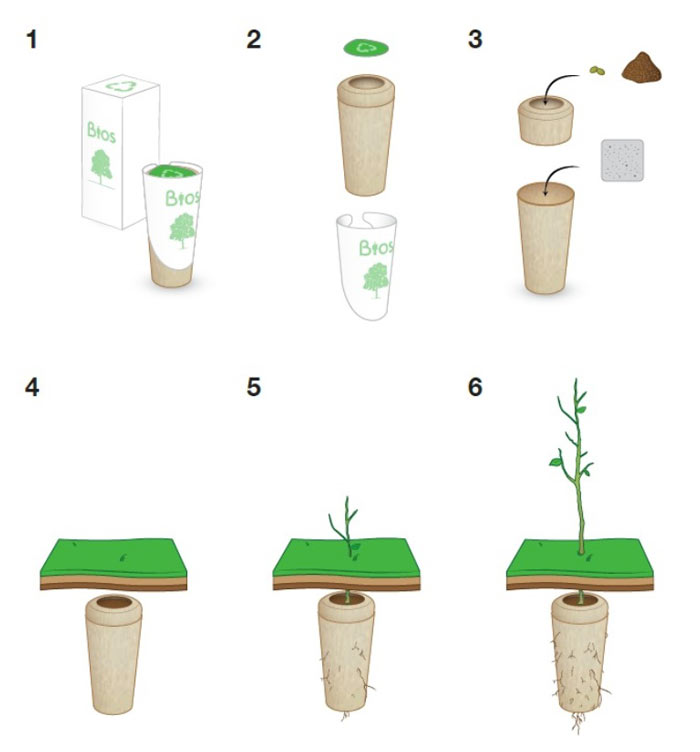 Growing stages of the Bios Urn A Biodegradable and eco-friendly Urn