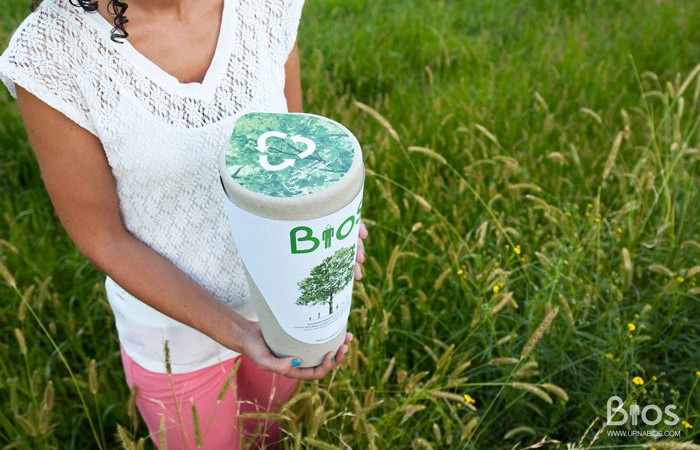 Bios Urn A Biodegradable and eco-friendly Urn