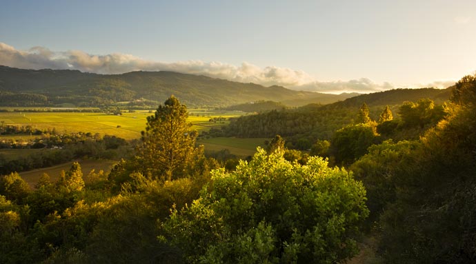 Landscape in Napa Valley from Calistoga Ranch