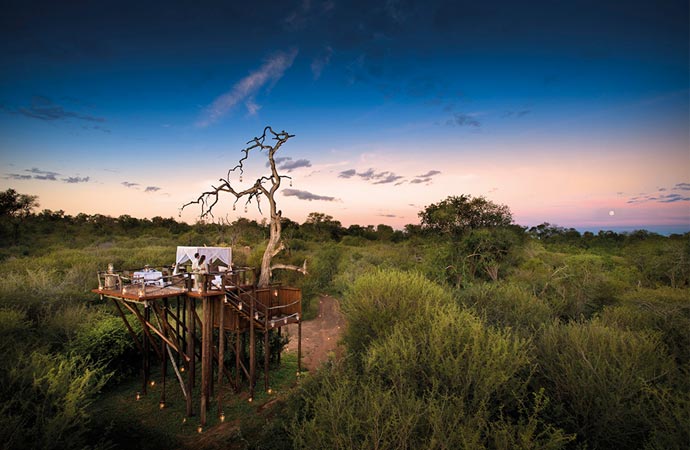 Treehouse accommodation at Lion Sands in South Africa