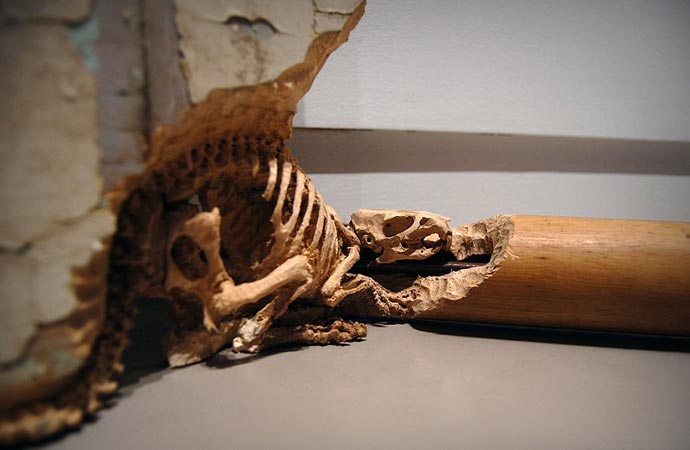 Wood carving by Maskull Lasserre