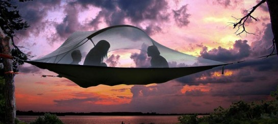 Stingray Tree Tent | By Tentsile