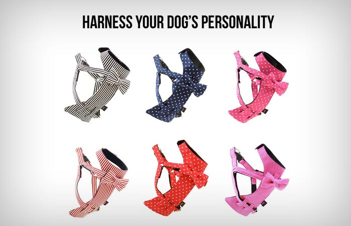 Dog Harness from Dharf