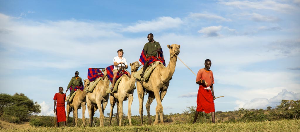 Safari tours in kenya