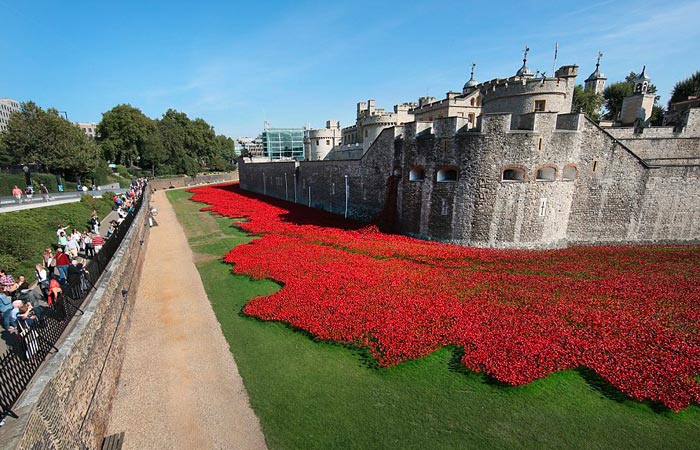 Remembrance day at the Tower of London