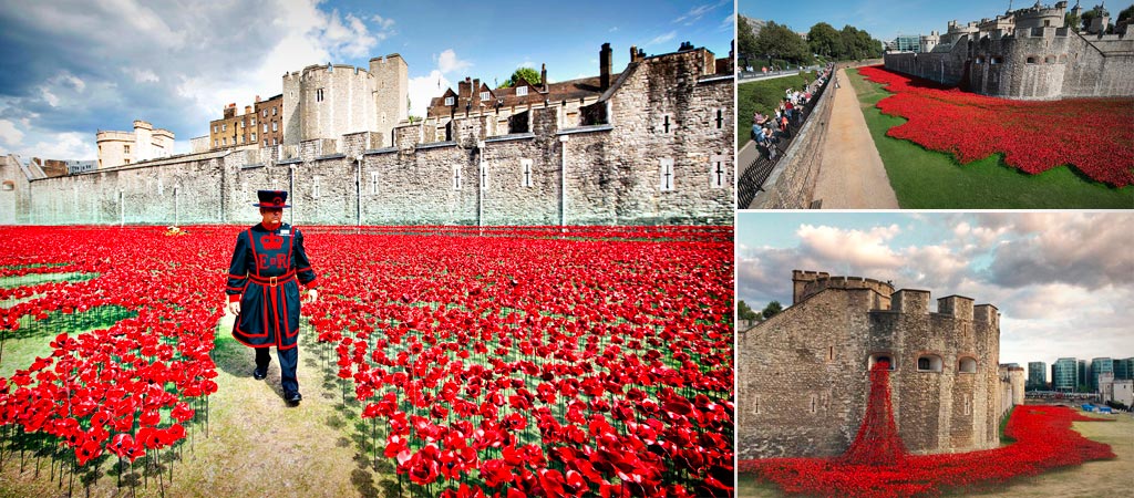 Remembrance day at the Tower of London