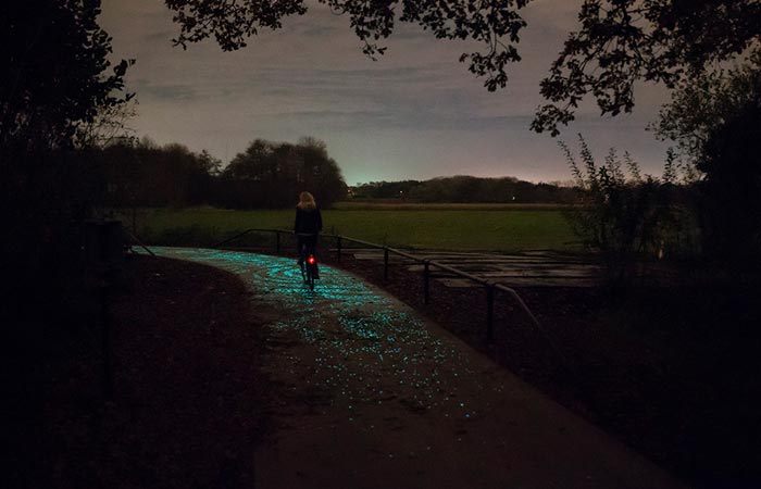 Van Gogh Roosegaarde bike path