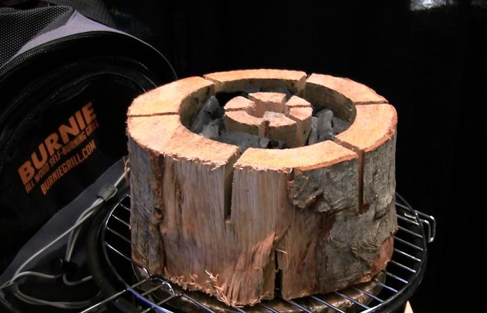Burnie campfire log