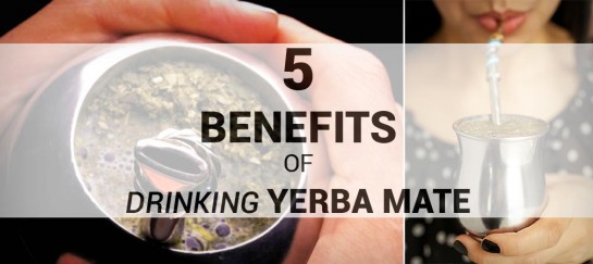 5 HEALTH BENEFITS OF DRINKING YERBA MATE
