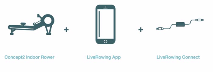 how the live rowing app works